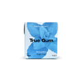 Gum Strong Mint 21g/24