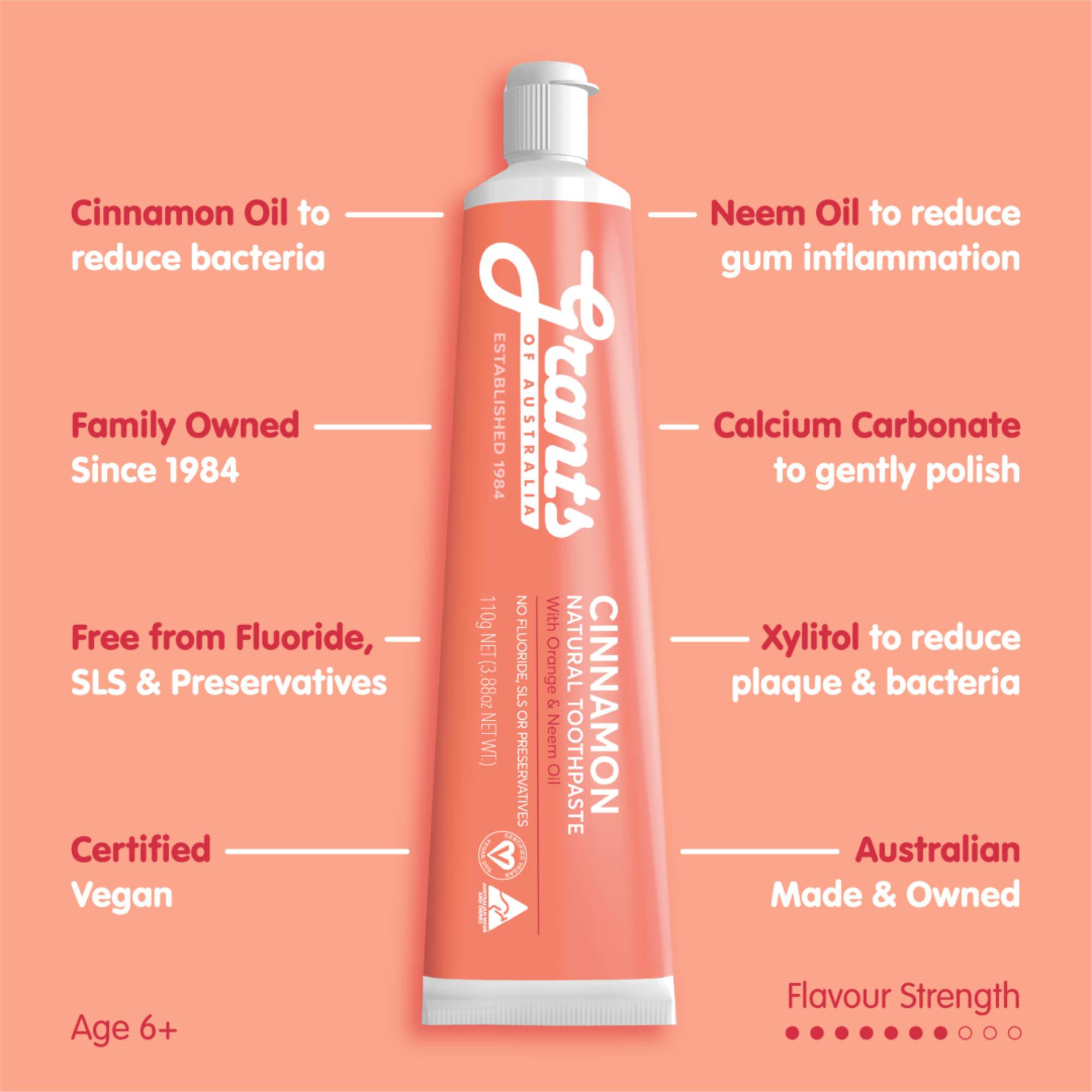 Toothpaste Cinnamon Zest 110g/12
